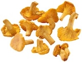 Aktuelle Pfifferlinge Angebote bei Kaufland in Ludwigshafen (Rhein) Aktuelles Pfifferlinge Angebot bei Kaufland in Ludwigshafen (Rhein) ab 3,49 €