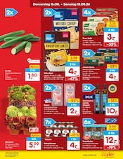 Ähnliche Teichpflanzen Angebote im Prospekt "Aktuelle Angebote" von Netto Marken-Discount in Cottbus Ähnliche Angebote wie Teichpflanzen im Prospekt "Aktuelle Angebote" auf Seite 4 von Netto Marken-Discount in Cottbus