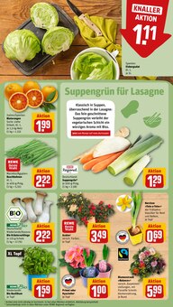 Narzissen im REWE Prospekt "Dein Markt" mit 30 Seiten (Dortmund)