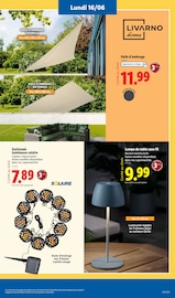 Promotion Jardinage dans le prospectus Lidl, valable du 16/06/2025 au 19/06/2025 Promo Jardinage dans le catalogue Lidl du moment à la page 9