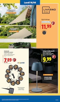 Promo Toile dans le catalogue Lidl du moment à la page 9