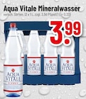 Mineralwasser bei Trinkgut im Friedrichsdorf Prospekt für 3,99 €