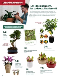 Prix et réduction Plante D'intérieur dans le prospectus Truffaut en cours Offre Plante D'intérieur dans le catalogue Truffaut du moment à la page 8