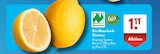 Bio-Naturland-Zitronen im Angebot bei ALDI SÜD in Offenbach Bio-Naturland-Zitronen Angebote von Naturland bei ALDI SÜD Offenbach für 1,11 €