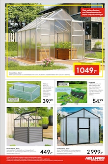 Pflanzen im Hellweg Prospekt "Robust und vielseitig" mit 16 Seiten (Chemnitz)