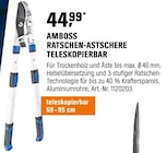 Aktuelles Ratschen-Astschere Teleskopierbar Angebot bei OBI in Duisburg ab 44,99 €