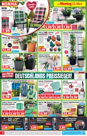 Kamin im Norma Prospekt in Ludwigshafen Aktueller Norma Prospekt mit Kamin, "Mehr fürs Geld", Seite 2