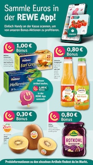 REWE Nürnberg Prospekt der aktuellen Woche, gültig von 05.05.2025 bis 10.05.2025 Aktueller REWE Nürnberg Prospekt "Dein Markt" mit 20 Seiten