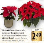 Mini-Weihnachtsstern in goldener Kugelkeramik Angebote bei E center Homburg für 2,49 €