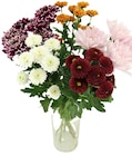 Penny Bocholt - Chrysanthemenstrauß Angebot im Prospekt Chrysanthemenstrauß bei Penny im Bocholt Prospekt für 2,99 €