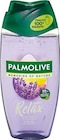 Duschgel oder Flüssigseife im Netto Marken-Discount Prospekt Duschgel oder Flüssigseife von Palmolive im aktuellen Netto Marken-Discount Prospekt für 1,00 €