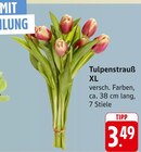 Aktuelle Tulpen Angebote bei E center in Heilbronn Aktuelles Tulpenstrauß XL Angebot bei E center in Heilbronn ab 3,49 €