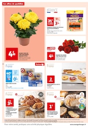 Chrysanthèmes Angebote im Prospekt "MES 25 JOURS Auchan" von Auchan Hypermarché auf Seite 24