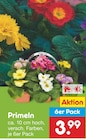 Aktuelles Primeln Angebot bei Netto Marken-Discount in Chemnitz ab 3,99 €