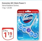 WC-Stein Power 5 Angebote von Domestos bei GLOBUS Neuwied für 1,19 €
