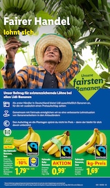 Bananen im Lidl Prospekt in Würzburg Aktueller Lidl Prospekt mit Bananen, "LIDL LOHNT SICH", Seite 61