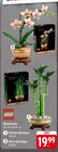 Glücks-Bambus oder Mini-Orchidee im Angebot bei E center in Kirchheim Glücks-Bambus oder Mini-Orchidee Angebote von LEGO bei E center Kirchheim für 19,99 €