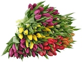 Aktuelles Tulpen Angebot bei REWE in Recklinghausen ab 6,99 €