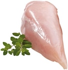 Hähnchen-Brustfilet im Angebot bei REWE in Hamburg Hähnchen-Brustfilet Angebote von Schönecke bei REWE Hamburg für 2,39 €
