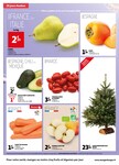 Sapin Nordmann Sapin Nordmann