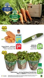 Aktueller E center Prospekt mit Pflanzen, "Aktuelle Angebote", Seite 6