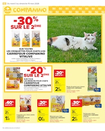Offre Croquettes chien adulte dans le catalogue Carrefour Market du moment à la page 64