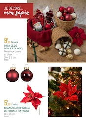 Promos Noël dans le catalogue "LE VILLAGE DE NOËL UNE FORÊT DE MAGIE" de Botanic à la page 3