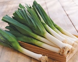 Promo Poireau à 1,49 € dans le catalogue Intermarché à Milly-la-Forêt