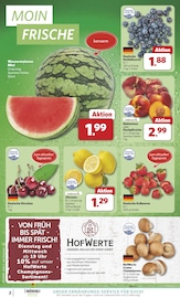Aktueller combi Prospekt mit Tierfutter, "Markt - Angebote", Seite 2