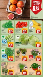 REWE Obst im Prospekt REWE Obst im Prospekt