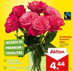 Großköpfige Hochland Rosen Angebote bei Netto Marken-Discount Ulm für 4,44 €
