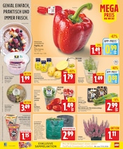 Pflanzen Angebot im EDEKA Prospekt, gültig von 07.09.2026 bis 12.09.2026 Pflanzen Angebot im aktuellen EDEKA Prospekt auf Seite 2