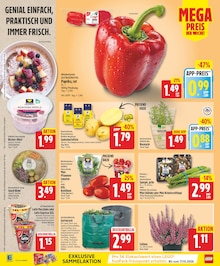 Buko Angebot im EDEKA Prospekt, gültig von 07.09.2026 bis 12.09.2026 Buko Angebot im aktuellen EDEKA Prospekt auf Seite 2