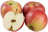 Rote Bio Tafeläpfel Angebote von REWE Bio bei REWE Köln für 2,22 €