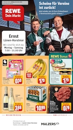 REWE Prospekt für Lünen mit 30 Seiten REWE Prospekt "Dein Markt" für Lünen, 30 Seiten, 19.05.2025 - 24.05.2025