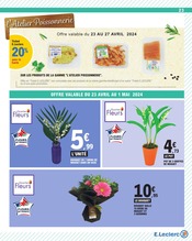 Plantes Angebote im Prospekt "Vos super pouvoirs d'achat" von E.Leclerc auf Seite 23