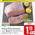 Aktuelle Schnitzel Angebote bei EDEKA in Stuttgart Aktuelles Frische Puten-Schnitzel oder -Brust Angebot bei EDEKA in Stuttgart ab 1,11 €