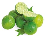 Bio Limette im Angebot bei REWE in Bruchsal Bio Limette Angebote von REWE Bio bei REWE Bruchsal für 0,39 €