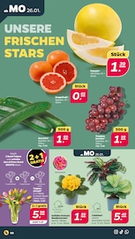 Blumen im Netto mit dem Scottie Prospekt in Halle Aktueller Netto mit dem Scottie Prospekt mit Blumen, "Günstig. Besser. Für Dich.", Seite 2