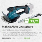 Raiffeisen Waren GmbH Gießen - Akku-Grasschere Angebot im Prospekt Akku-Grasschere bei Raiffeisen Waren GmbH im Gießen Prospekt für 79,99 €