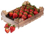 Erdbeeren Angebote bei REWE Hof für 5,55 €