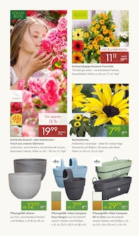 Blumentopf im aktuellen Pflanzen Kölle Prospekt (Wiesbaden) Blumentopf im Pflanzen Kölle Prospekt "GÄRTNERN & GENIESSEN" mit 12 Seiten (Wiesbaden)