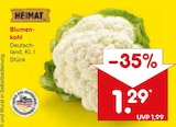 Aktuelle Blumen Angebote bei Netto Marken-Discount in Augsburg Aktuelles Blumen-kohl Angebot bei Netto Marken-Discount in Augsburg ab 1,29 €