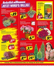 Gartenerde im Repo Prospekt in Falkensee Aktueller Repo Prospekt mit Gartenerde, "Aktuelle Angebote", Seite 18