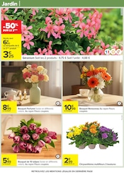 Promos Chrysanthèmes dans le catalogue "PÂQUES POUR TOUS LES GOÛTS" de Carrefour Chrysanthèmes en promo dans le catalogue Carrefour à la page 104