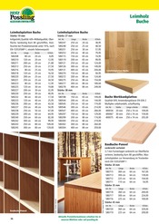 Werkzeug Angebote im Prospekt "Holz- & Baukatalog 2024/25" von Holz Possling auf Seite 36