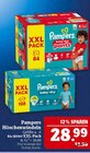 baby-dry pants im Angebot bei Marktkauf in Altenburg baby-dry pants Angebote von Pampers bei Marktkauf Altenburg für 28,99 €