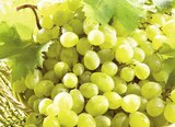 Raisin Italia à Casino Supermarchés dans Gurcy-le-Châtel Raisin Italia à Casino Supermarchés dans Gurcy-le-Châtel