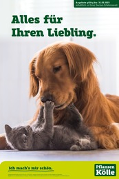 Tierfutter Angebot & Preis im aktuellen Pflanzen Kölle Prospekt Tierfutter Angebot im aktuellen Pflanzen Kölle Prospekt auf Seite 1
