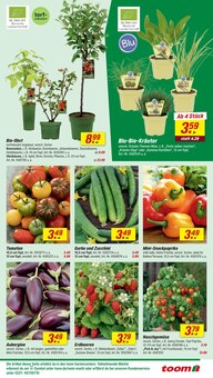 Erdbeeren im toom Baumarkt Prospekt "Respekt, wer's selber macht." mit 26 Seiten (Braunschweig)